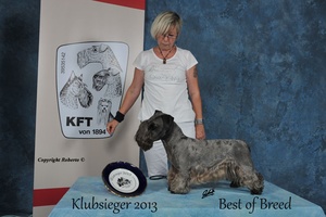 Klub Sieger 2013